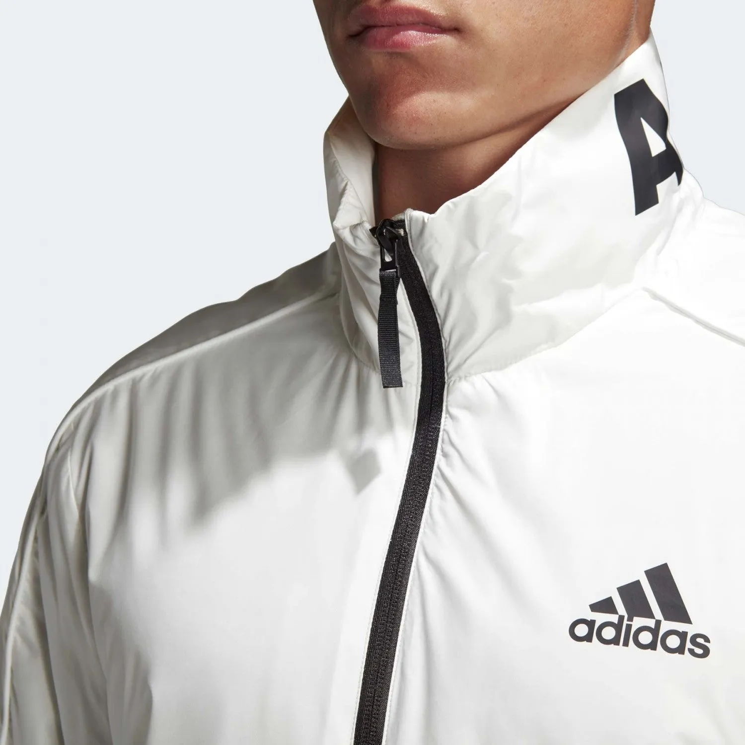 adidas Men's Light Insulated Jacket DQ1608