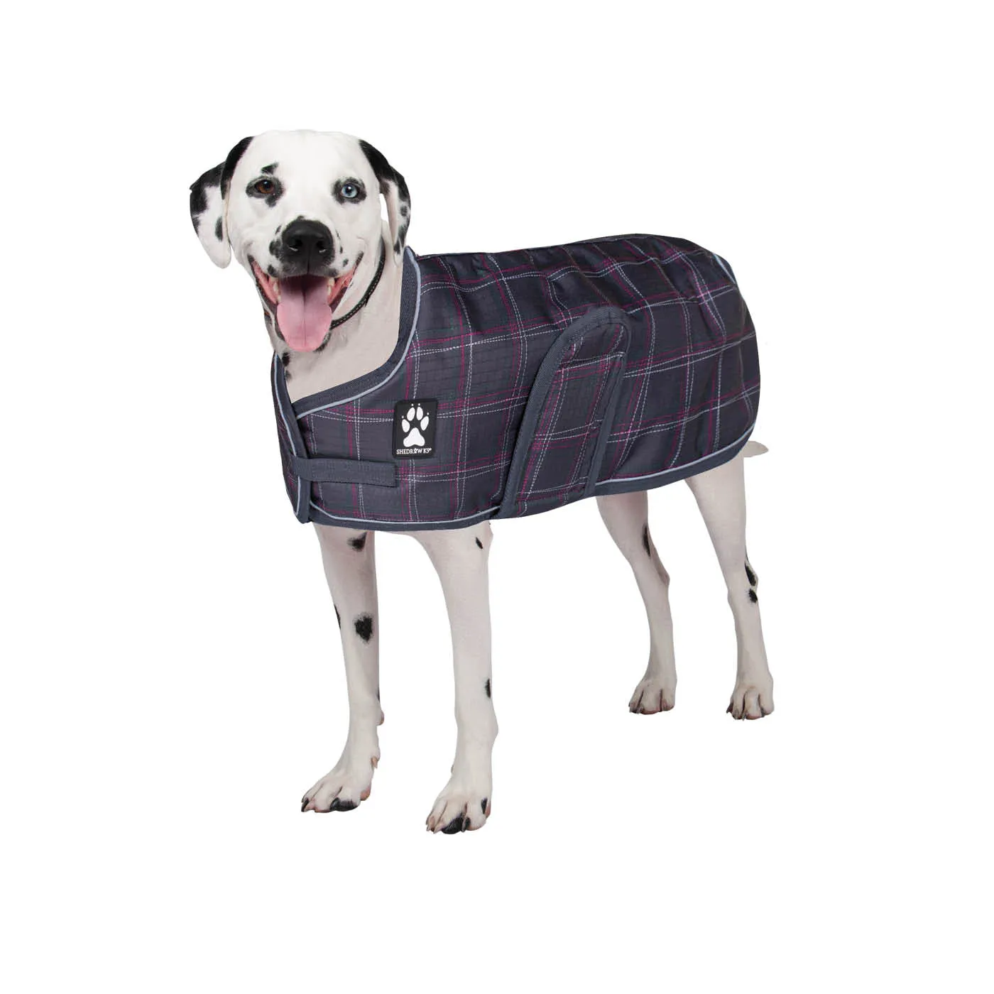 Glacier Dog Coat