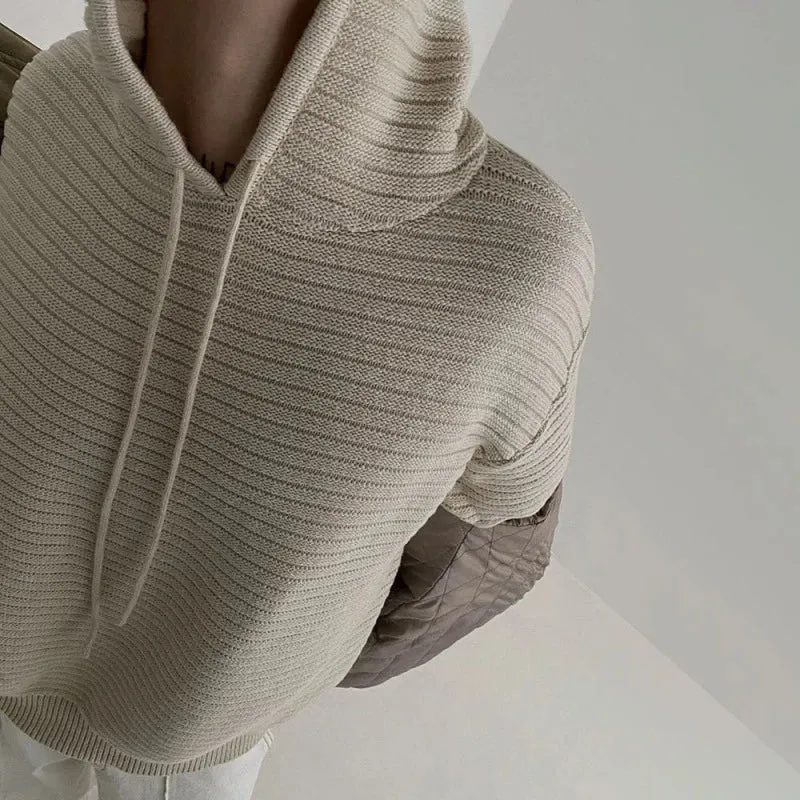 Men's Hooded Sweater Korean Fashion Thickened Solid Color Baggy Male Knitting Sweatshirt Casual Spring Trendy 9C3186