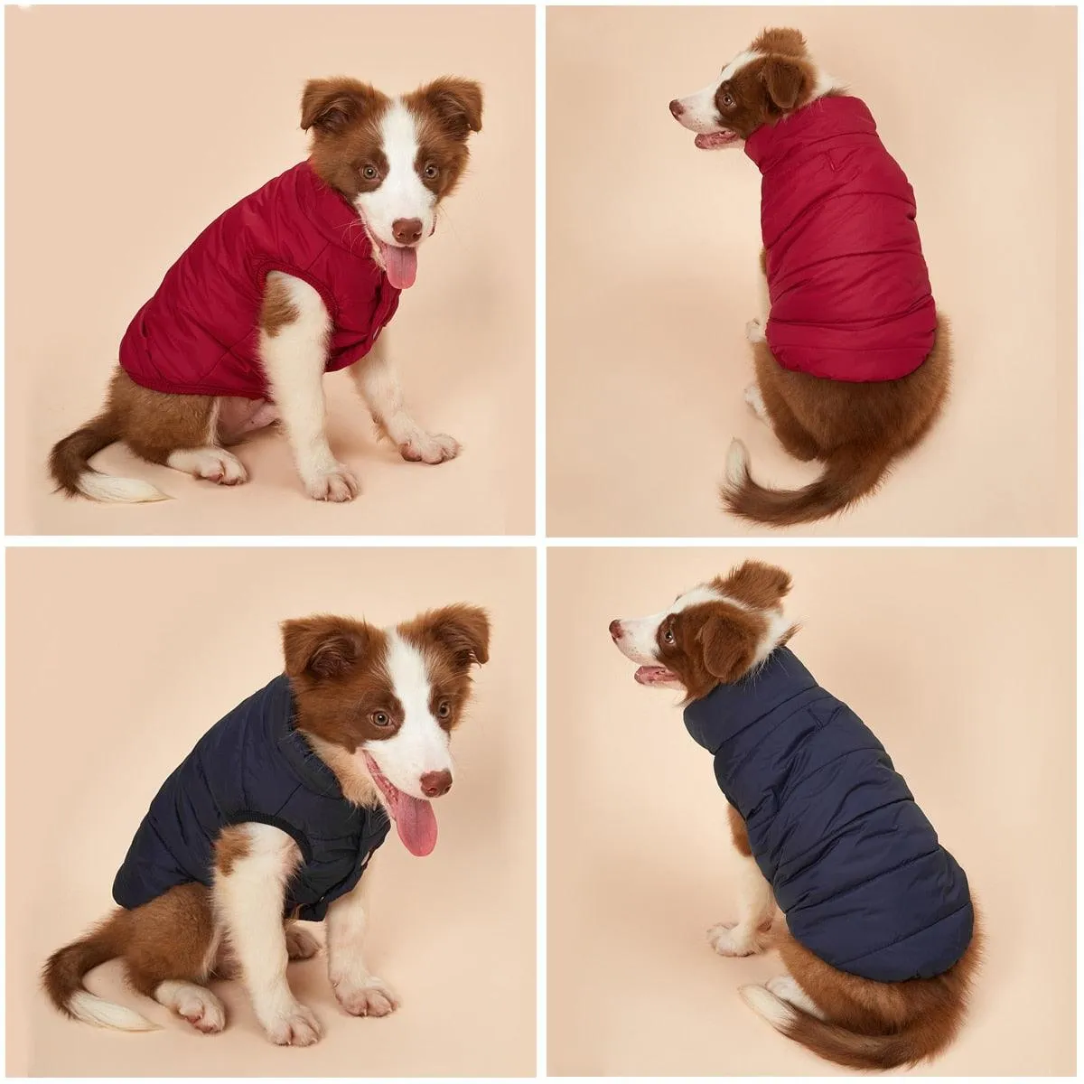 Winter Cotton Padded Pet Coat